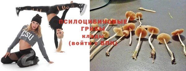 COCAINE Белокуриха