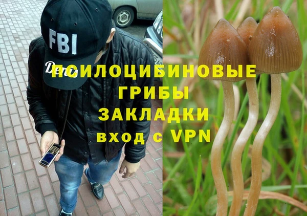 COCAINE Белокуриха